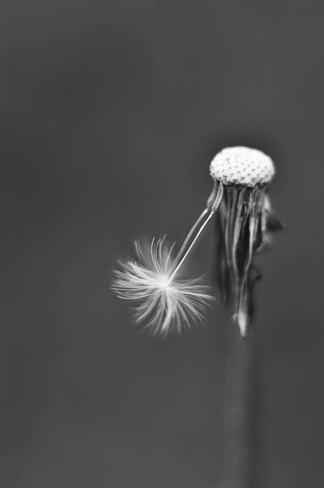 Время быстротечно