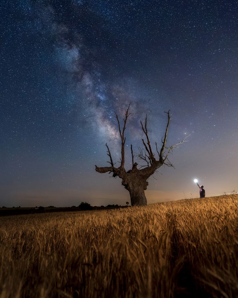 Photograph by Jesús casero