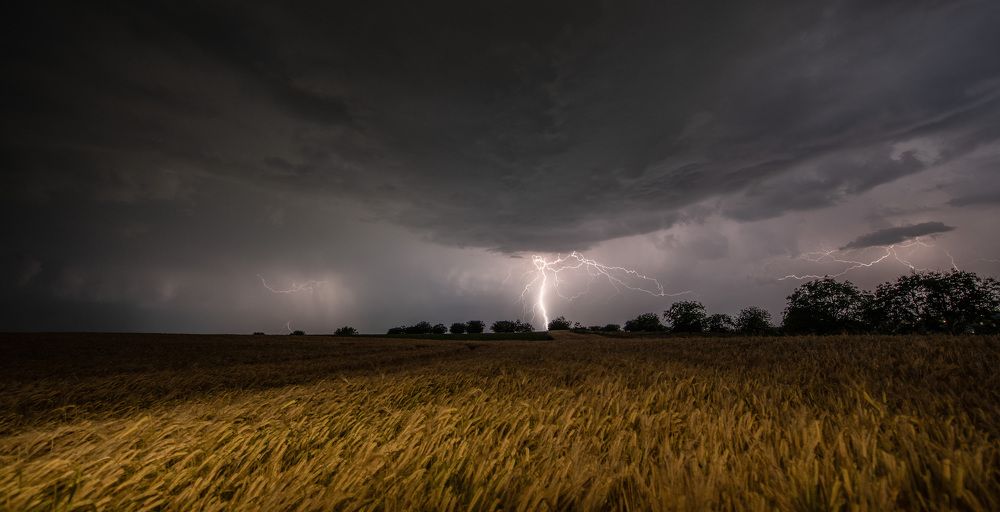 Photograph by Konstantin Vladov