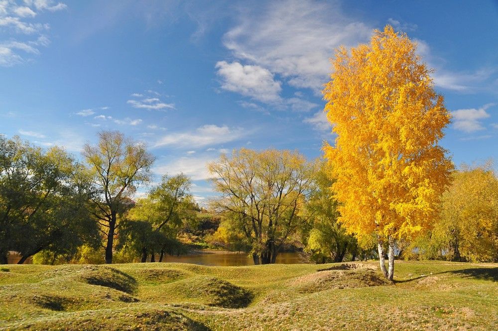 Золото осени