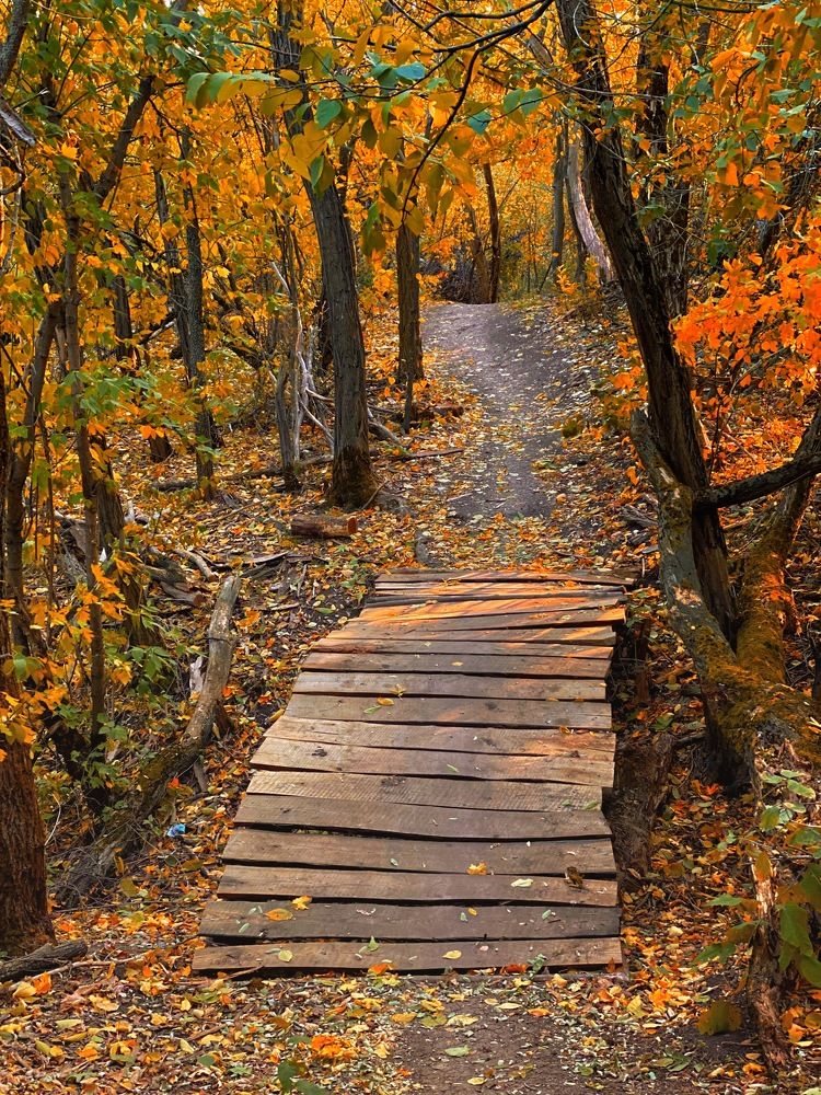 Photograph by Елена Гарибян