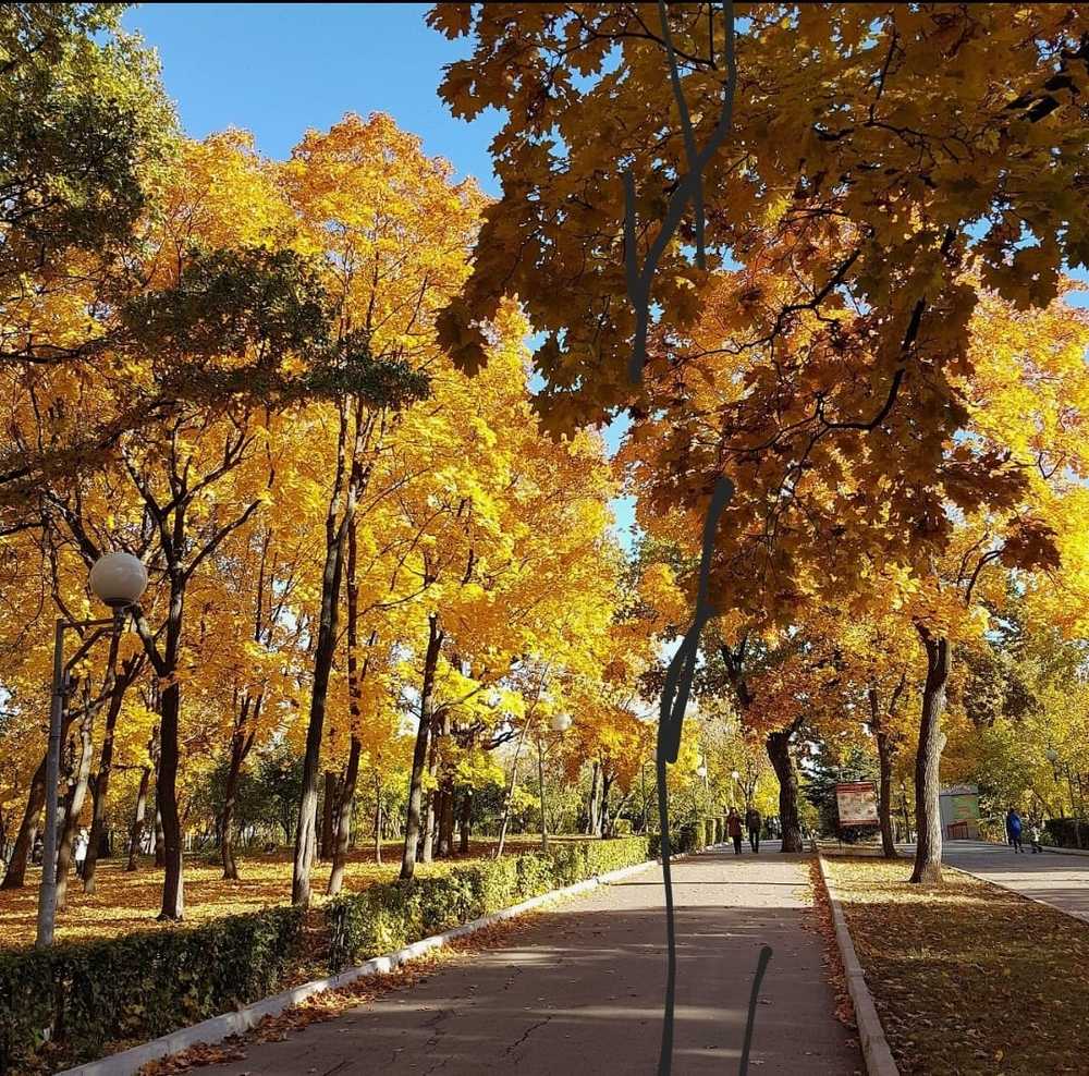 Photograph by Tatiana Denisova