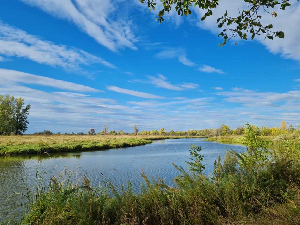 Photograph by Tatiana Denisova