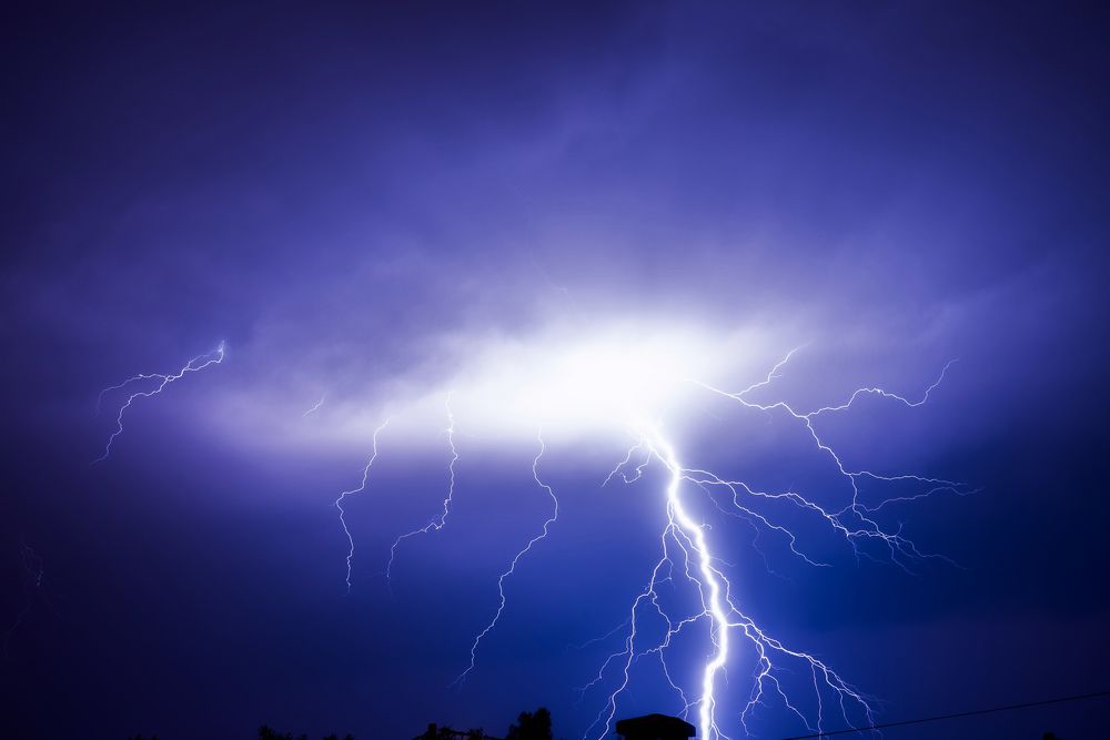 Photograph by Goran Grudic