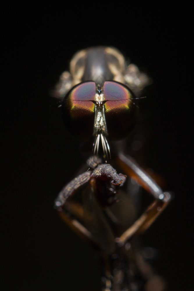 Photograph by Vivek.c.r