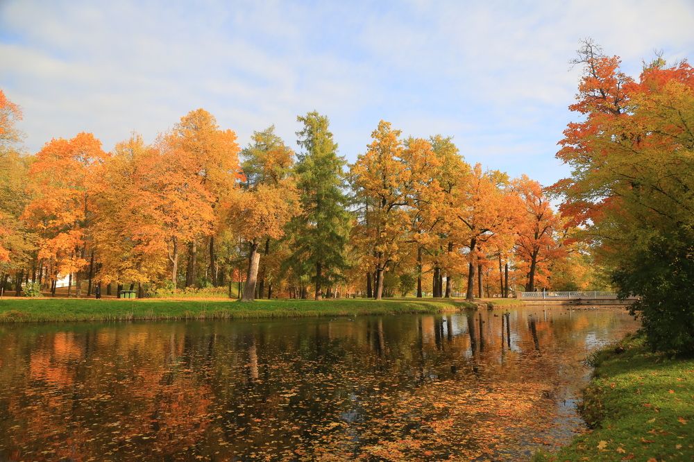 Photograph by Николай Бакулин