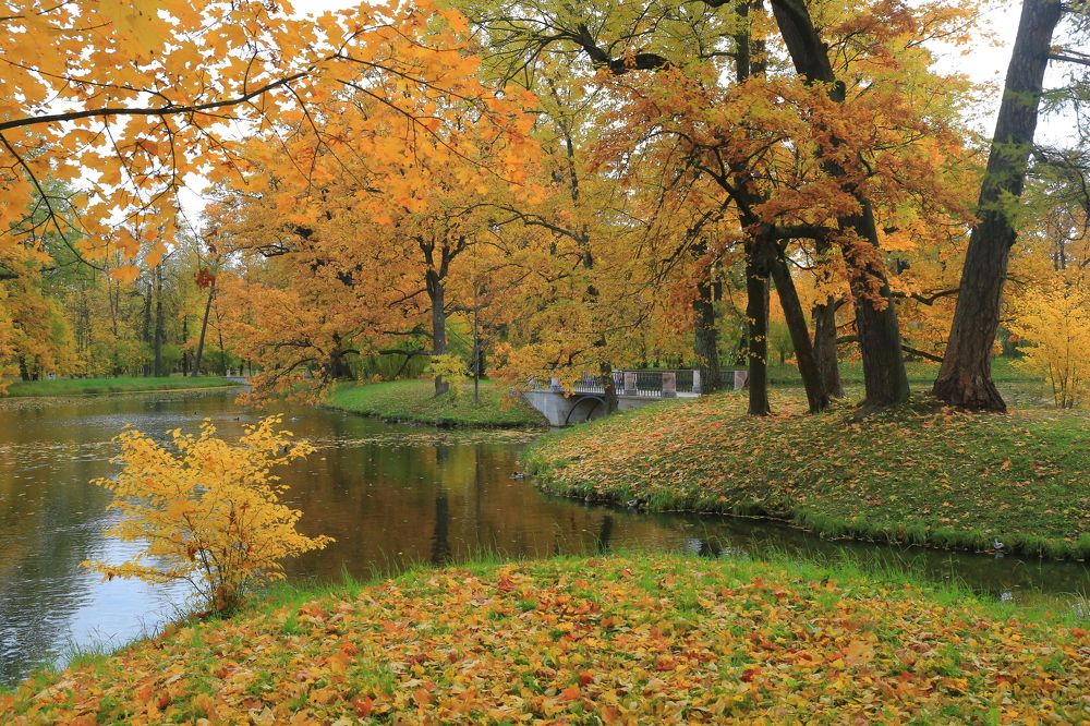 Photograph by Николай Бакулин