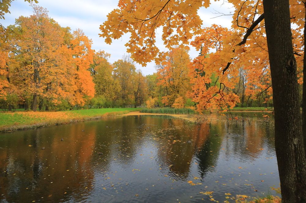 Photograph by Николай Бакулин