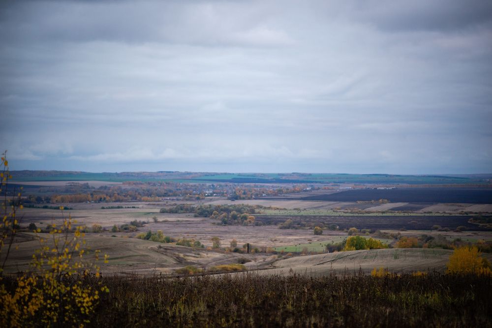 Photograph by Светлана