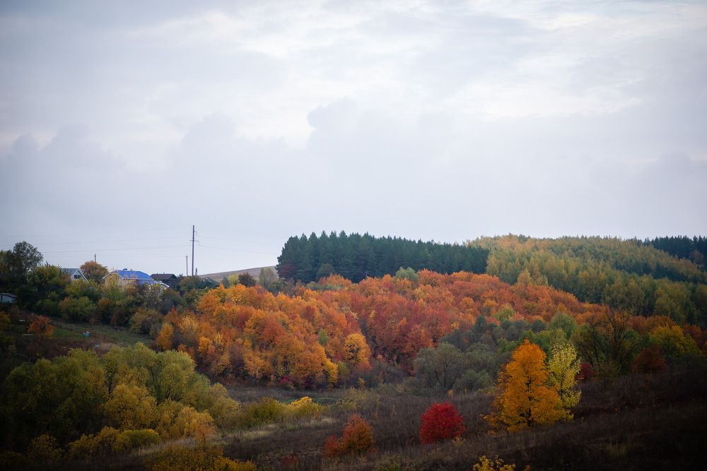 Photograph by Светлана