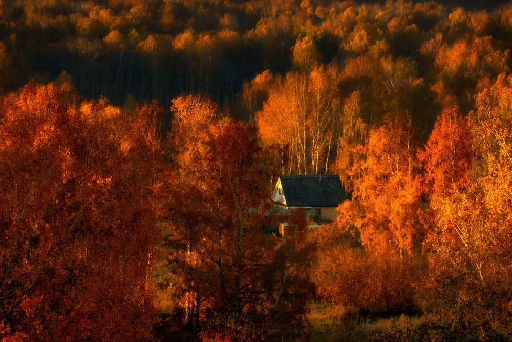 Photograph by Юлия Лушникова