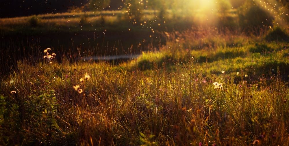 Photograph by Петрова Екатерина