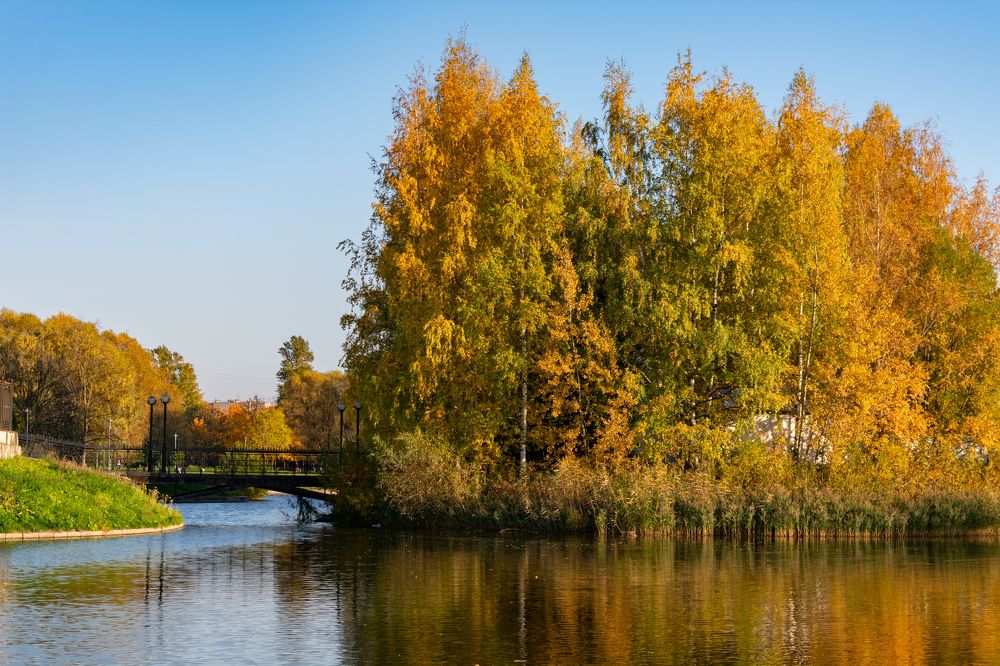 Photograph by Юлия Боровкова