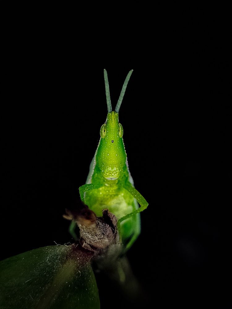 Photograph by Satishkumar Prakash