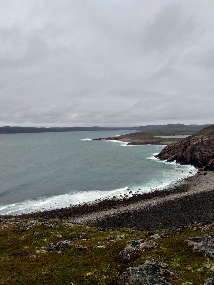 Photo #6563084