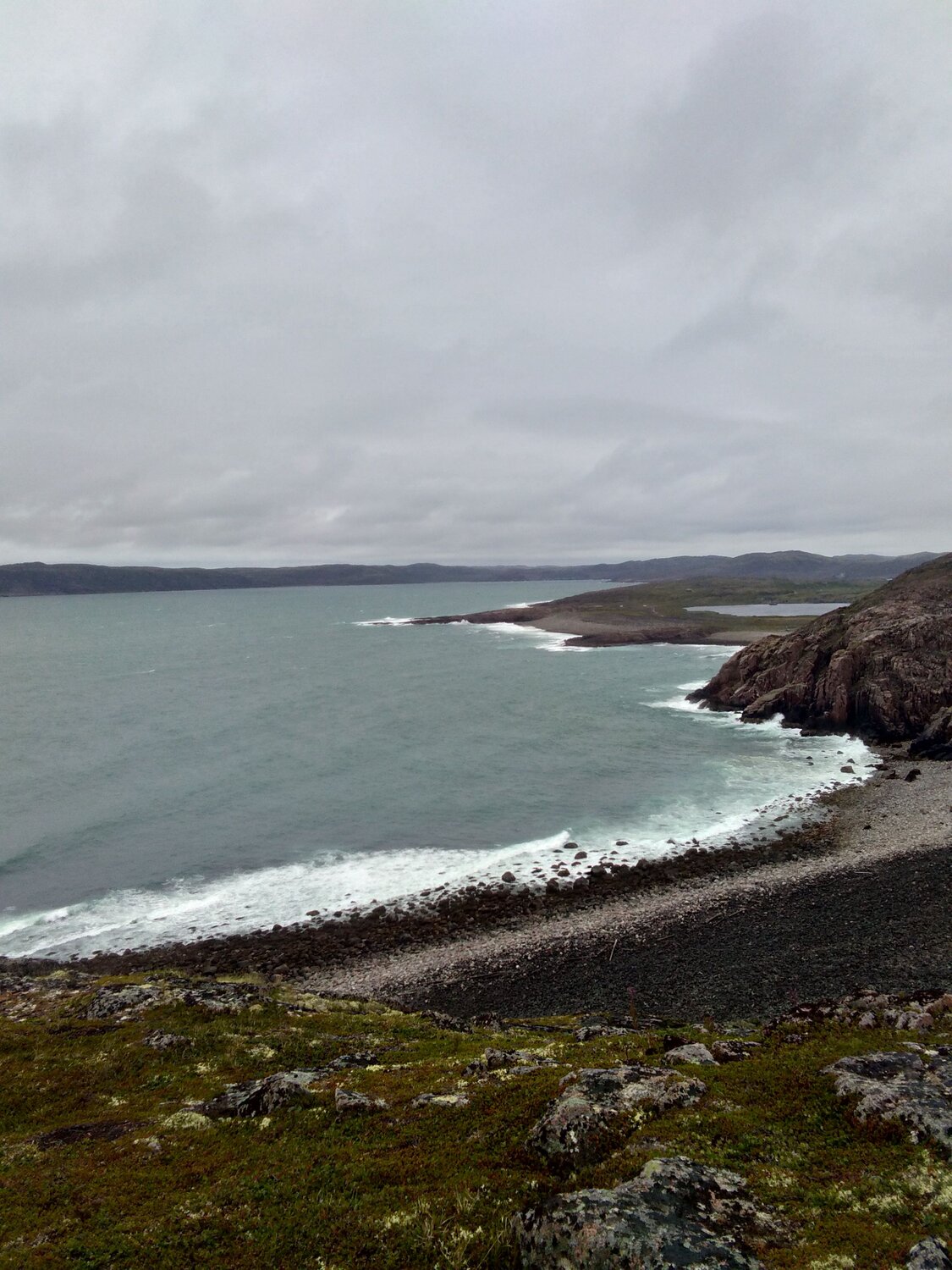 Photo #6563084