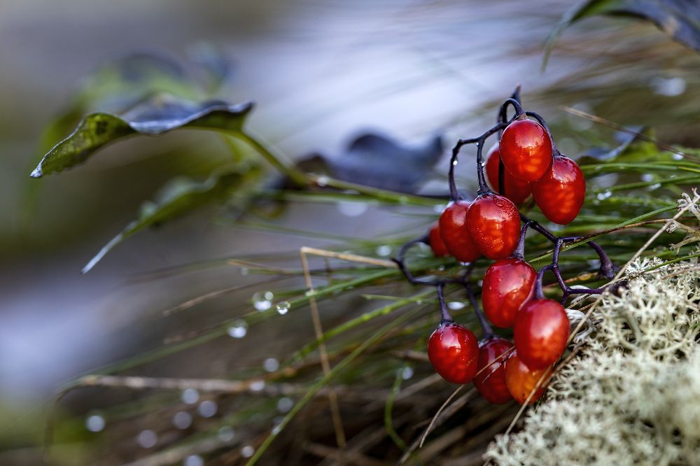 Photograph by Юрий Чернов