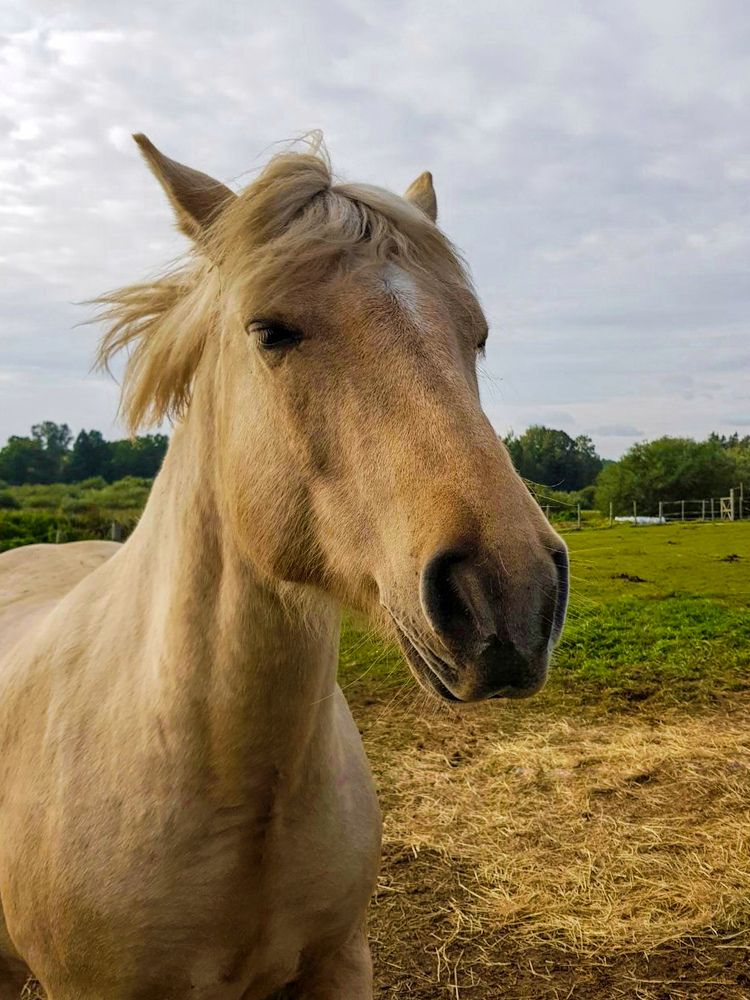 Photograph by Татьяна Олефиренко