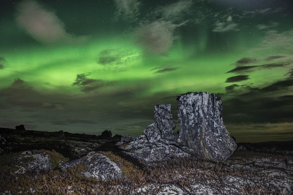 Под небом изумрудным