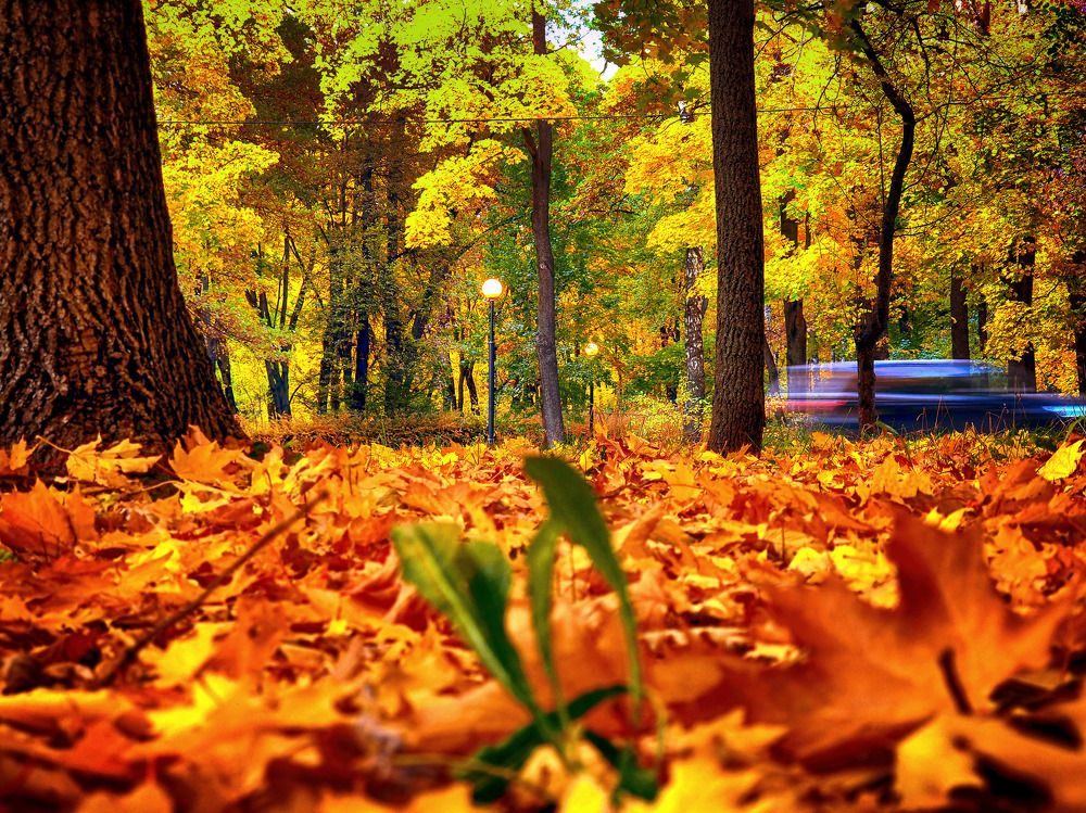 Photograph by Михаил Малец