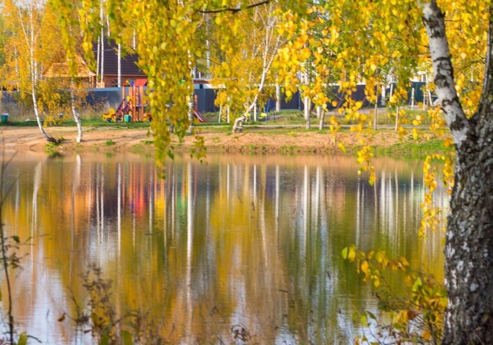 Осенняя палитра на пруду