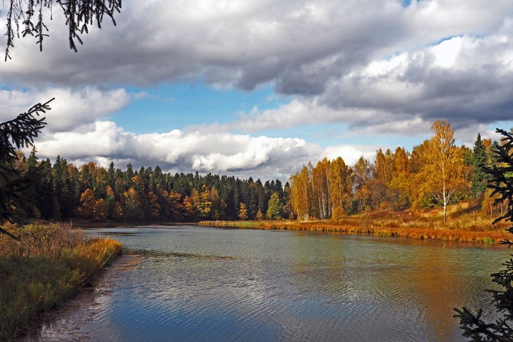 Photograph by Михаил Малец