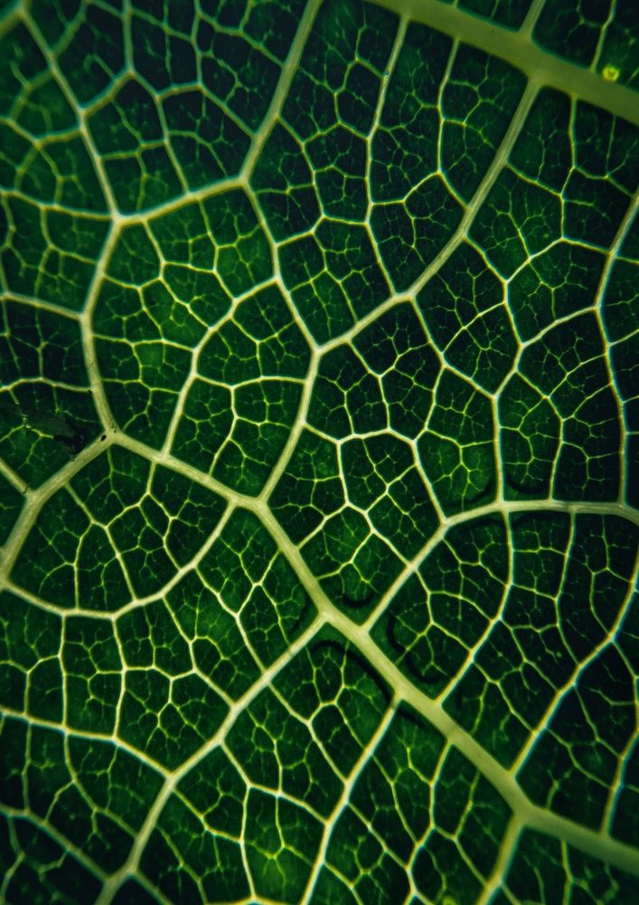 Photograph by Nishant Raj