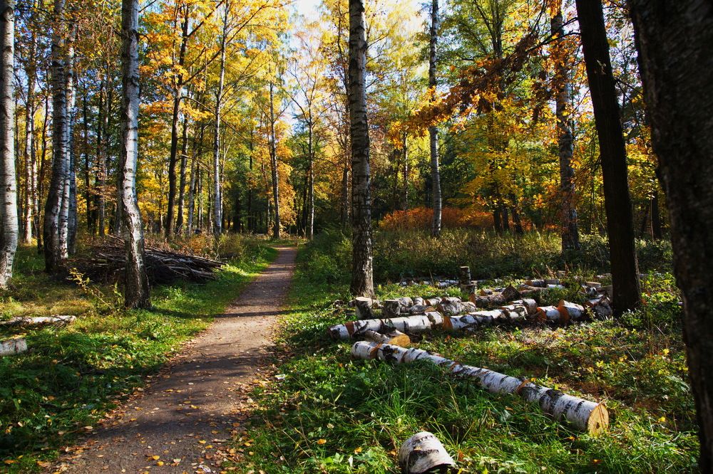 Photograph by Анатолий Протасов