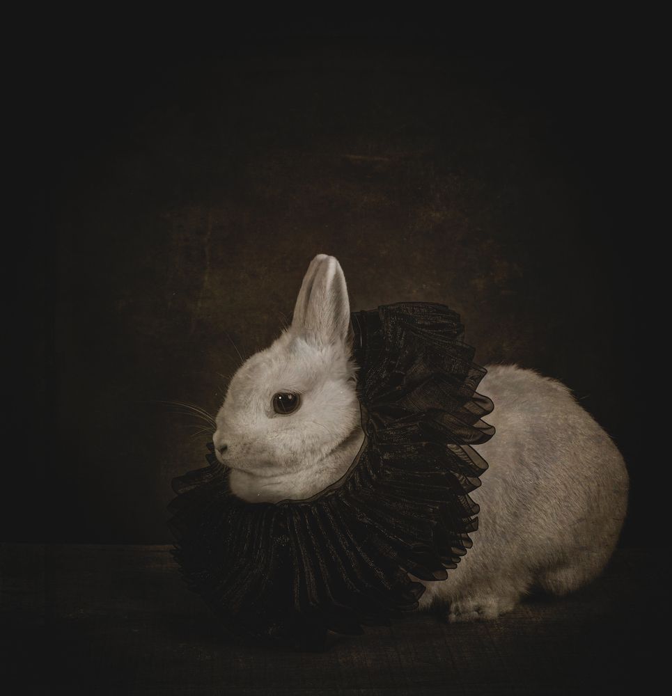 Photograph by Carmen Pascual