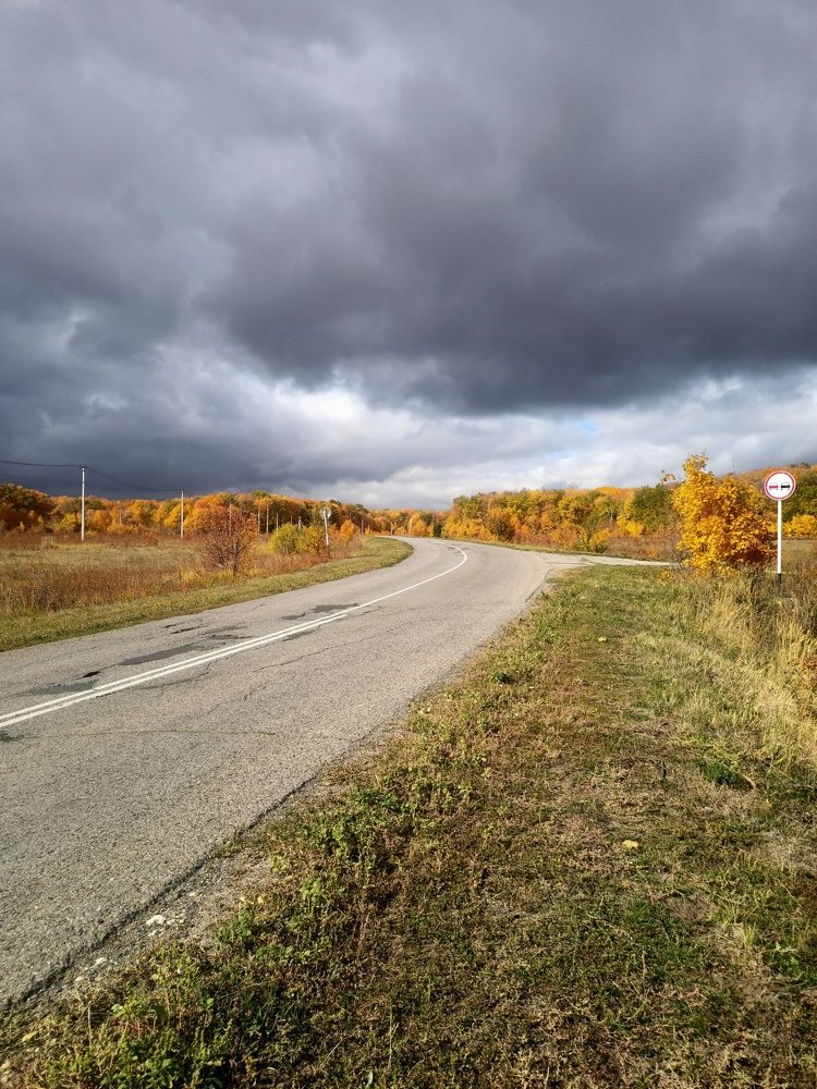 Photograph by Елизавета Мишина