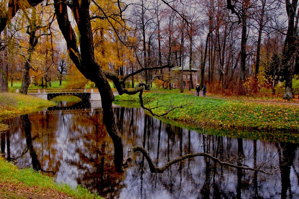 Неяркие краски осеннего парка