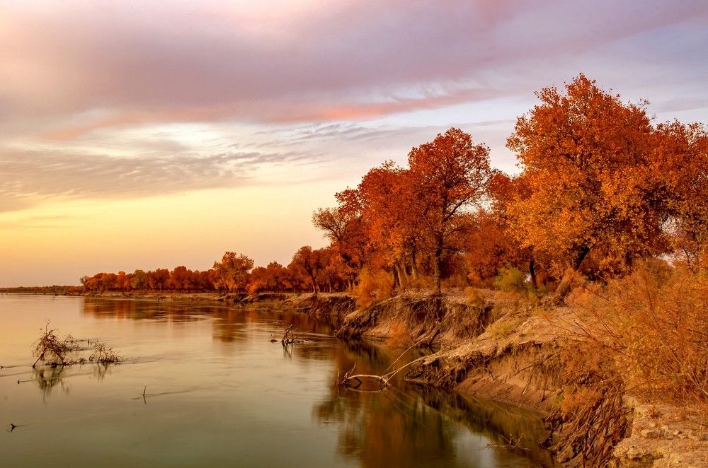 Photograph by Александр Грищенко