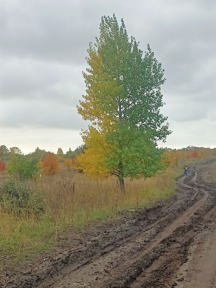 Photograph by Елизавета Мишина