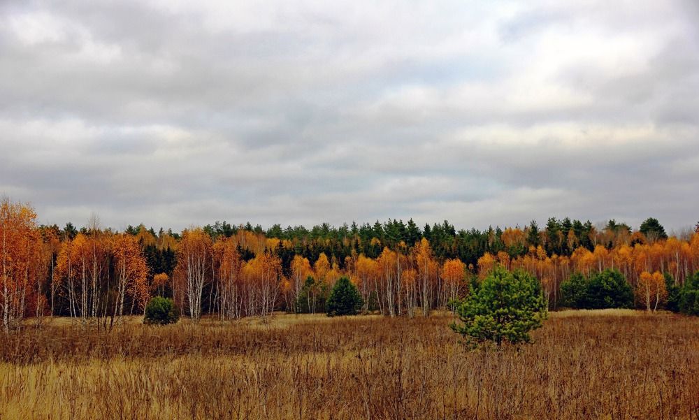 Photograph by Александр Бугаенко