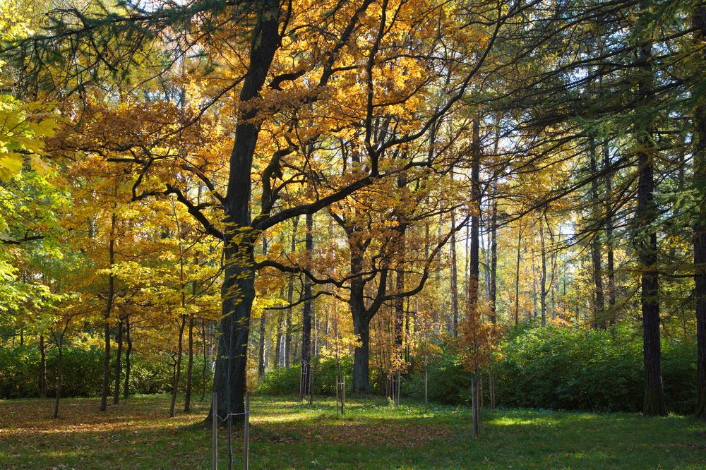 Photograph by Анатолий Протасов