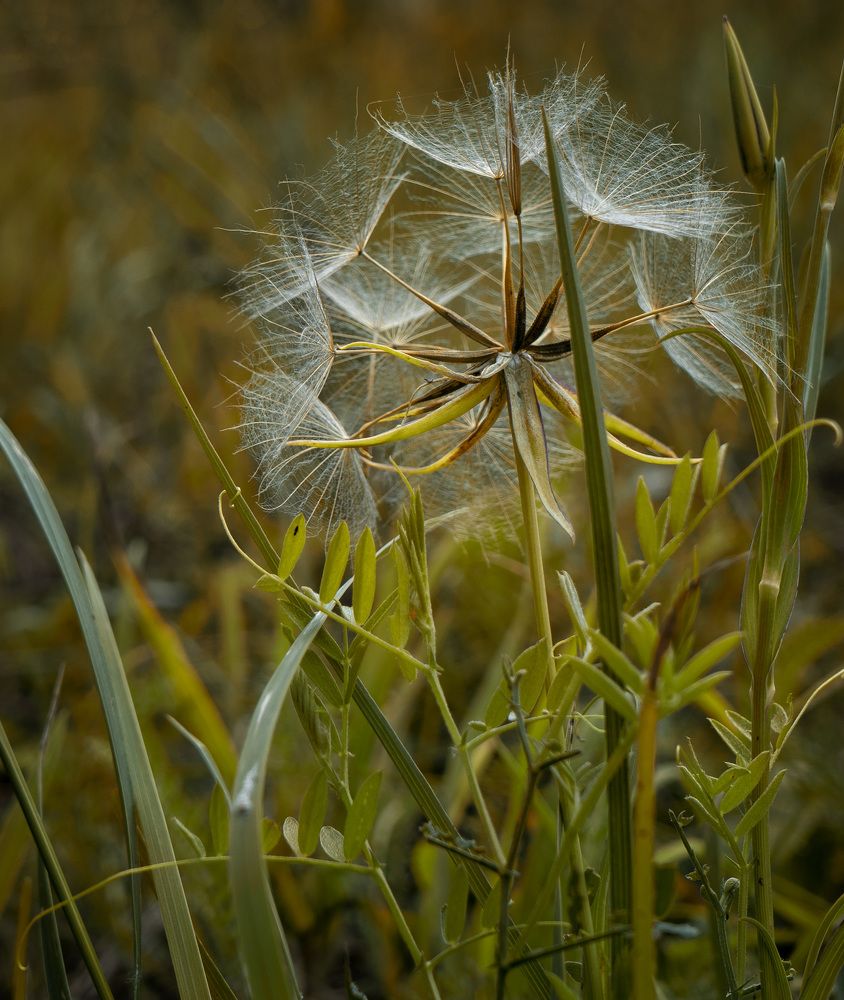 Photograph by Елена Вакумова