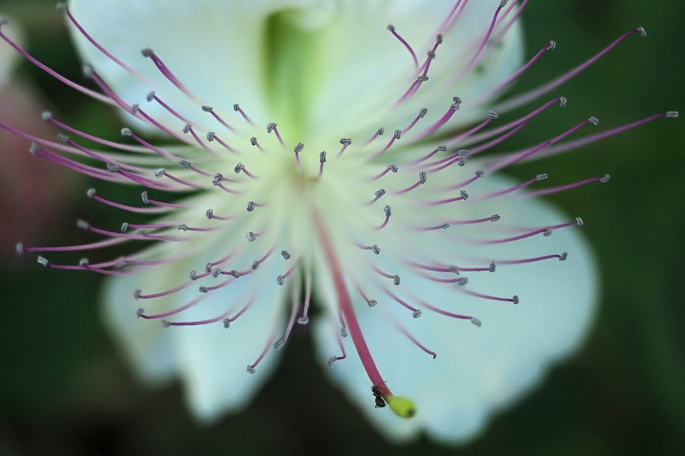 Фотография автора Boško Lučev