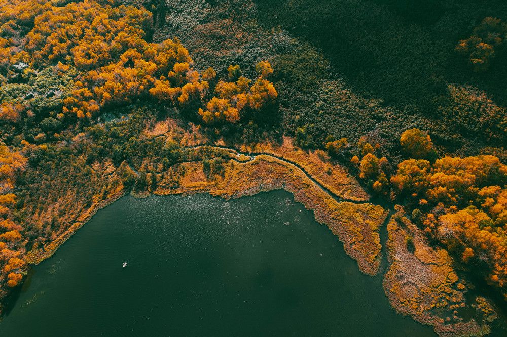 Photograph by Юлия Тельпова