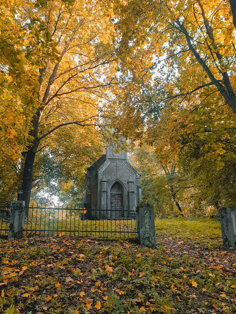 Photograph by Вера Крейдич