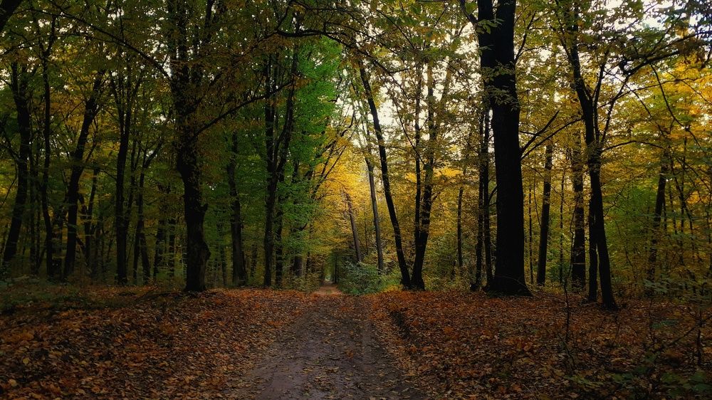 Photograph by Кристина Шляхова