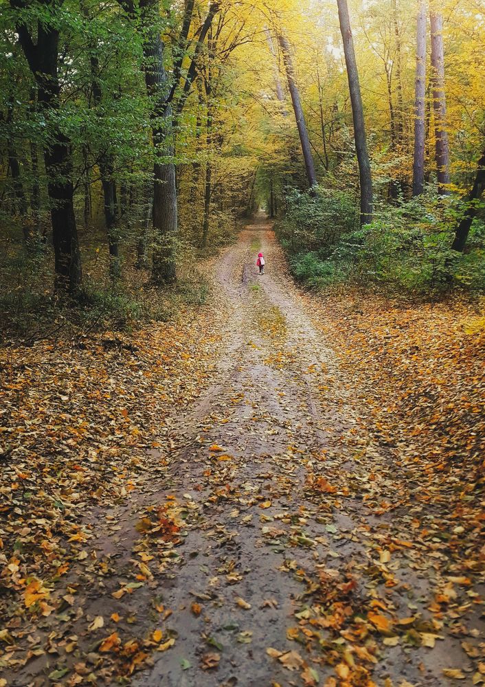 Photograph by Кристина Шляхова