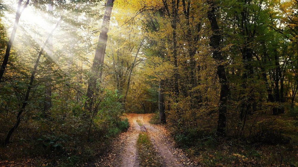 Photograph by Кристина Шляхова