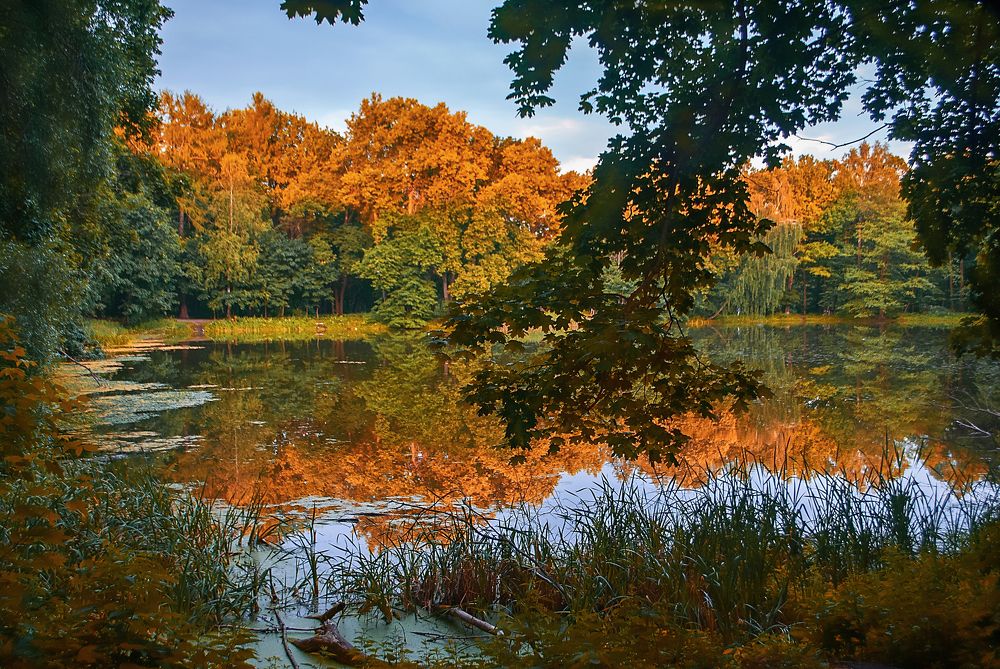 Фотография автора Елена Савельева