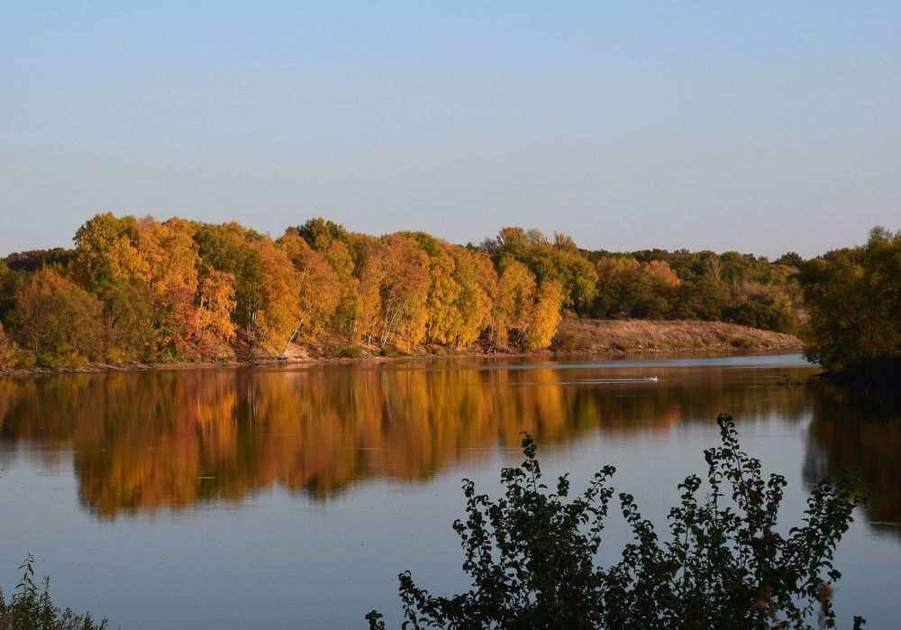 Осенние контрасты.