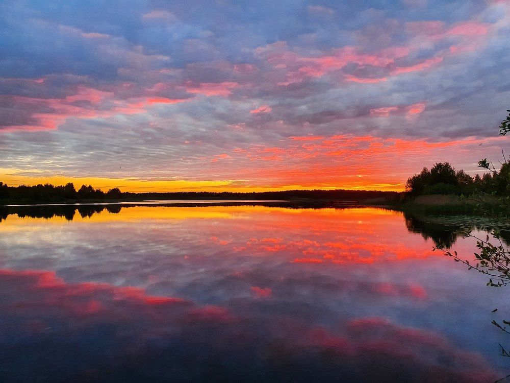 Photograph by Светлана Гущина