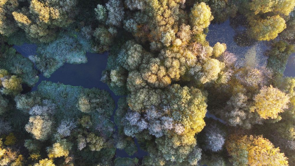 Фотография автора Коротков Алексей