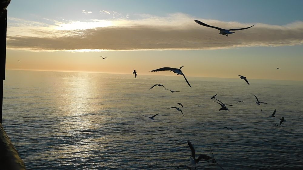 Photograph by Алена