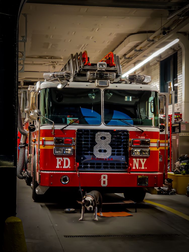 Photograph by Елена Башмакова