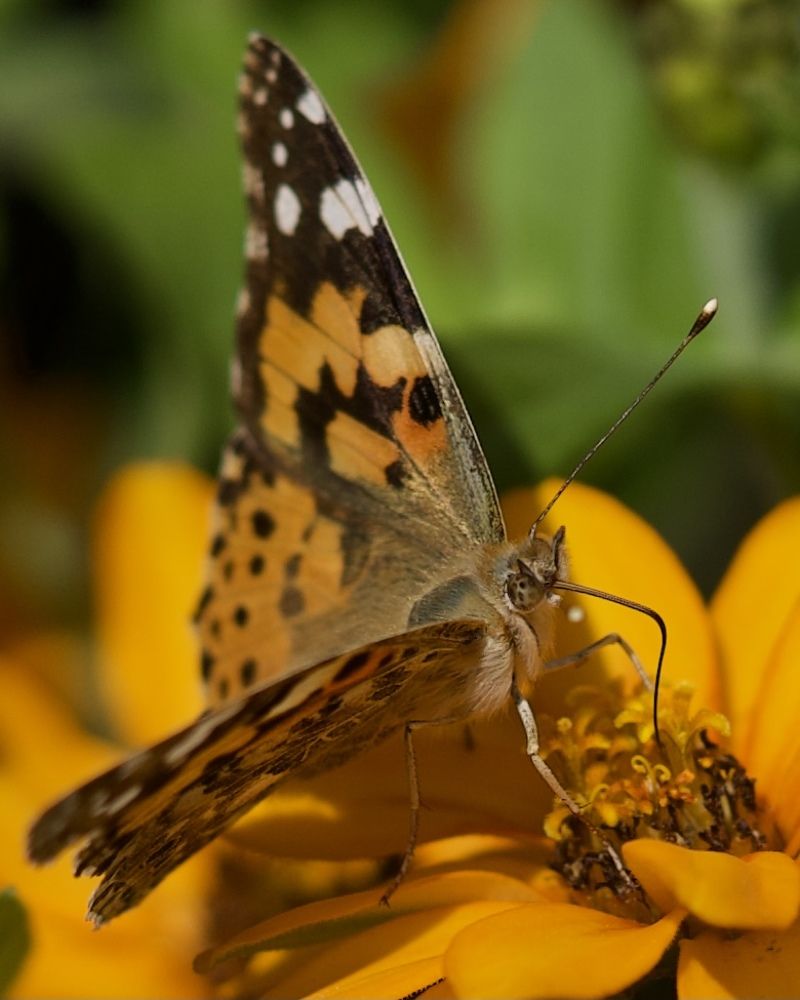 Photograph by Алексей Шевченко