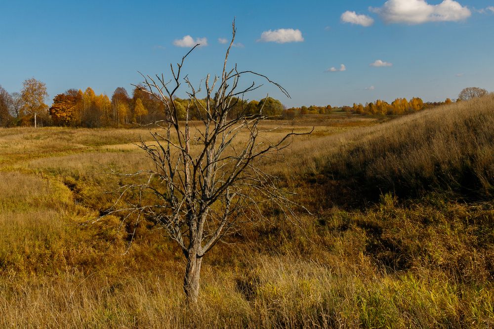 Photograph by Сергей Пшенов